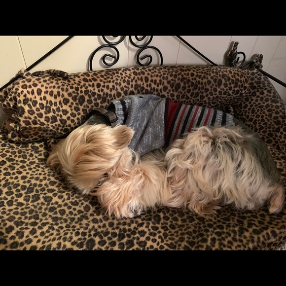 Meet your Posher, Michelle - Picture 8 of 8